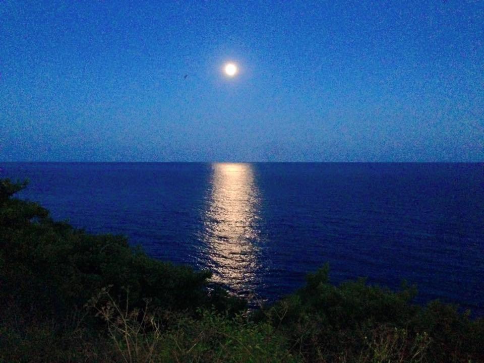 Ventnor Bay House住宿加早餐旅馆 外观 照片
